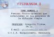 FISIOLOGIA I TEMA NUMERO 3 Fuerzas físico-químicas que intervienen en los procesos de la difusión simple PROFESOR: Gregorio Tiskow, Ph.Sc. E-mail: gtiskow@ucla.edu.ve