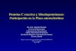 Proteína C reactiva y Metaloproteinasas: Participación en la Placa aterosclerótica Dr. Jose Antonio Páramo Servicio de Hematología Laboratorio de Aterosclerosis