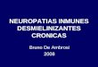 NEUROPATIAS INMUNES DESMIELINIZANTES CRONICAS Bruno De Ambrosi 2008