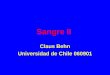 Sangre II Claus Behn Universidad de Chile 060901