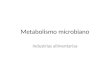 Metabolismo microbiano Industrias alimentarias. Una Visión Simplificada del Metabolismo Celular