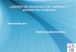 LASERES DE MONOXIDO DE CARBONO Y BIOXIDO DE CARBONO Presentado por : Benito Canales Pacheco