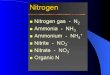 Nitrogen fixation Como se forman los nódulos  Flavonoides se liberan de las raíces  Se establece comunicación con bacterias  Activación