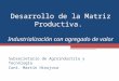 Desarrollo de la Matriz Productiva. Industrialización con agregado de valor Subsecretario de Agroindustria y Tecnología Cont. Martín Hinojosa