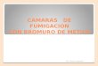 CAMARAS DE FUMIGACION CON BROMURO DE METILO ATS - INTECH / SERVICAM1