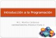 M.C. Martha Cárdenas HERRAMIENTAS PRODUCTIVAS II Introducción a la Programación