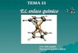 EL enlace químico I.E.S. Pablo Gargallo Departamento de Física y Química TEMA 13