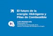 El futuro de la energía: Hidrógeno y Pilas de Combustible Leire Romero Elu Responsable I+D Fundación para el Desarrollo de las Nuevas Tecnologías del Hidrógeno