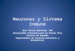 Neuronas y Sistema Inmune Bert Rivera Marchand, PhD Universidad Interamericana de Puerto Rico Recinto de Bayamón Departamento de Ciencias Naturales y Matemáticas