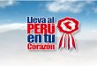 ORGANIZAN Ministerio de Trabajo Ministerio de Educación Municipalidades Provinciales y Distritales del Perú Alcaldes Unidos por la Recuperación Cívica