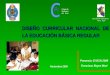 DISEÑO CURRICULAR NACIONAL DE LA EDUCACIÓN BÁSICA REGULAR Ponencia: El DCN 2006 Francisco Reyes Mori Colegio de Profesores del Perú Asociación educativa