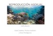 REPRODUCCIÓN ASEXUAL NATURALES Iñaki Zubieta, Marius Asztalos y Elisa Perdigones