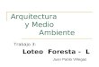 Arquitectura y Medio Ambiente Loteo Foresta - L Juan Pablo Villegas Trabajo 3: