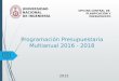 UNIVERSIDAD NACIONAL DE INGENIERÍA OFICINA CENTRAL DE PLANFICACIÓN Y PRESUPUESTO Programación Presupuestaria Multianual 2016 - 2018 2015