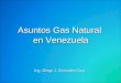 Asuntos Gas Natural en Venezuela Ing. Diego J. González Cruz