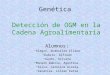 Detección de OGM en la Cadena Agroalimentaria Alumnos: Alegre, Rumesilda Eliana Dabrio, Alfredo Gauto, Silvana Monzón Dabrio, Agustina Silva, Carolina