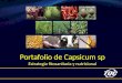 Portafolio de Capsicum sp Estrategia fitosanitaria y nutricional