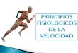 3. PRINCIPIOS FISIOLOGICOS DE LA VELOCIDAD 3.1 EL APARATO LOCOMOTOR 3.1.1 LOS HUESOS 3.1.2 LAS ARTICULACIONES 3.2 EL APARATO DIGESTIVO 3.3 EL SISTEMA