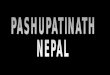 “El lugar más impactante de Katmandú es el templo de Pashupatinath, a orillas del río Bagmati –una arteria del sagrado