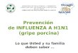 Prevención de INFLUENZA A H1N1 (gripe porcina) MINISTERIO DE SALUD PÚBLICA – CORRIENTES DIRECCION GRAL. DE PROMOCION Y PROTECCION DE LA SALUD DIRECCION