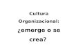 Cultura Organizacional: ¿emerge o se crea? Joan Cohí General Manager, Grupo MC Asociados 23 de febrero de 2012