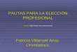 PAUTAS PARA LA ELECCIÓN PROFESIONAL fuente:  Patricia Villarroel Arias. Orientadora