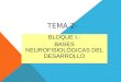 TEMA 2- BLOQUE I.- BASES NEUROFISIOLÓGICAS DEL DESARROLLO