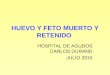 HUEVO Y FETO MUERTO Y RETENIDO HOSPITAL DE AGUDOS CARLOS DURAND JULIO 2010
