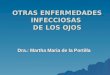 OTRAS ENFERMEDADES INFECCIOSAS DE LOS OJOS Dra.: Martha Maria de la Portilla