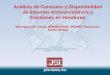 Análisis de Consumo y Disponibilidad de Insumos Anticonceptivos y Condones en Honduras Secretaría de Salud, ASHONPLAFA, PASMO, Farmacias, Fondo Global