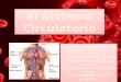 Es la estructura anatómica compuesta por el sistema cardiovascular que conduce y hace circular la sangre, y por el sistema linfático que conduce la linfa
