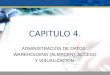CAPITULO 4. ADMINISTRACION DE DATOS: WAREHOUSING (ALMACEN), ACCESO Y VISUALIZACION