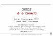 Curso de Postgrado CSIC Grids & e-Ciencia Santander Junio 2006 GRIDS & e- Ciencia Curso Postgrado CSIC Junio 2006, Santander David Rodríguez González Consejo