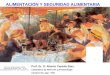 ALIMENTACIÓN Y SEGURIDAD ALIMENTARIA Prof. Dr. D. Alberto Cepeda Sáez Catedrático de Nutrición y Bromatología Campus de Lugo - USC