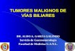 TUMORES MALIGNOS DE VÍAS BILIARES DR. ALDO A. GARZA GALINDO Servicio de Gastroenterología Facultad de Medicina U.A.N.L