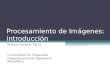 Procesamiento de Imágenes: introducción Stéren Chabert, Ph.D. Universidad de Valparaíso Departamento de Ingeniería Biomédica