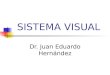 SISTEMA VISUAL Dr. Juan Eduardo Hernández. SISTEMA VISUAL - Crea un mapa codificado por localización de su campo sensorial (mundo visual) que se preserva