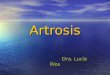 Artrosis Dra. Lucía Ríos Dra. Lucía Ríos. DEFINICIÓN Y PATOGENIA La osteoartritis o artrosis es una enfermedad articular crónica ocasionada básicamente
