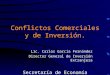 Conflictos Comerciales y de Inversión. Lic. Carlos García Fernández Director General de Inversión Extranjera Secretaría de Economía