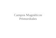 Campos Magnéticos Primordiales. Índice - Introducción - Mecanismos de generación y amplificación - Observaciones de campos magnéticos en el universo -