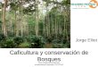 Sub programa productos ecosistemas tropicales 22/7/2010 Caficultura y conservación de Bosques Jorge Elliot