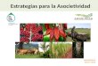 Estrategias para la Asocietividad. Agenda 1.- ¿Qué es Agroideas? 2.- ¿Cómo logra su objetivo? 3.- ¿Qué consiguen las organizaciones? 4.- ¿A quienes