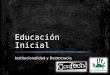 Educación Inicial Institucionalidad y Democracia