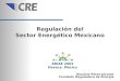 Regulación del Sector Energético Mexicano Dionisio Pérez-Jácome Comisión Reguladora de Energía ARIAE 2003 Oaxaca, México