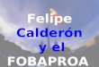 Felipe Calderón y el FOBAPROA. Es bien sabido que LA HISTORIA COLOCA A CADA QUIEN EN SU LUGAR, y Felipe Calderón no será la excepción. El tema es Felipe