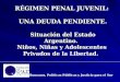 RÉGIMEN PENAL JUVENIL: UNA DEUDA PENDIENTE. Situación del Estado Argentino. Niños, Niñas y Adolescentes Privados de la Libertad. RÉGIMEN PENAL JUVENIL: