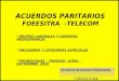 ACUERDOS PARITARIOS FOEESITRA -TELECOM  GRUPOS LABORALES Y CARRERAS PROFESIONALES  ENCUADRES Y CATEGORÍAS ESPECIALES  PROMOCIONES - PERÍODO : JUNIO