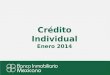 Crédito Individual Enero 2014. ¿Cuántas Opciones de Crédito Individual tenemos con Banco Inmobiliario Mexicano ?