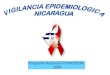 PORCENTAJE DE ITS POR EDAD Junio 2004 NICARAGUA. PROGRAMA NACIONAL DE ITS/VIH/SIDA