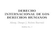 DERECHO INTERNACIONAL DE LOS DERECHOS HUMANOS Abog. Diego J. Rolon Barrail Bolilla No. 5